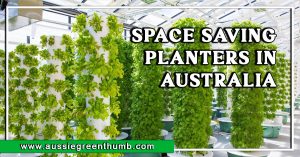 Best Space Saving Planters in Australia