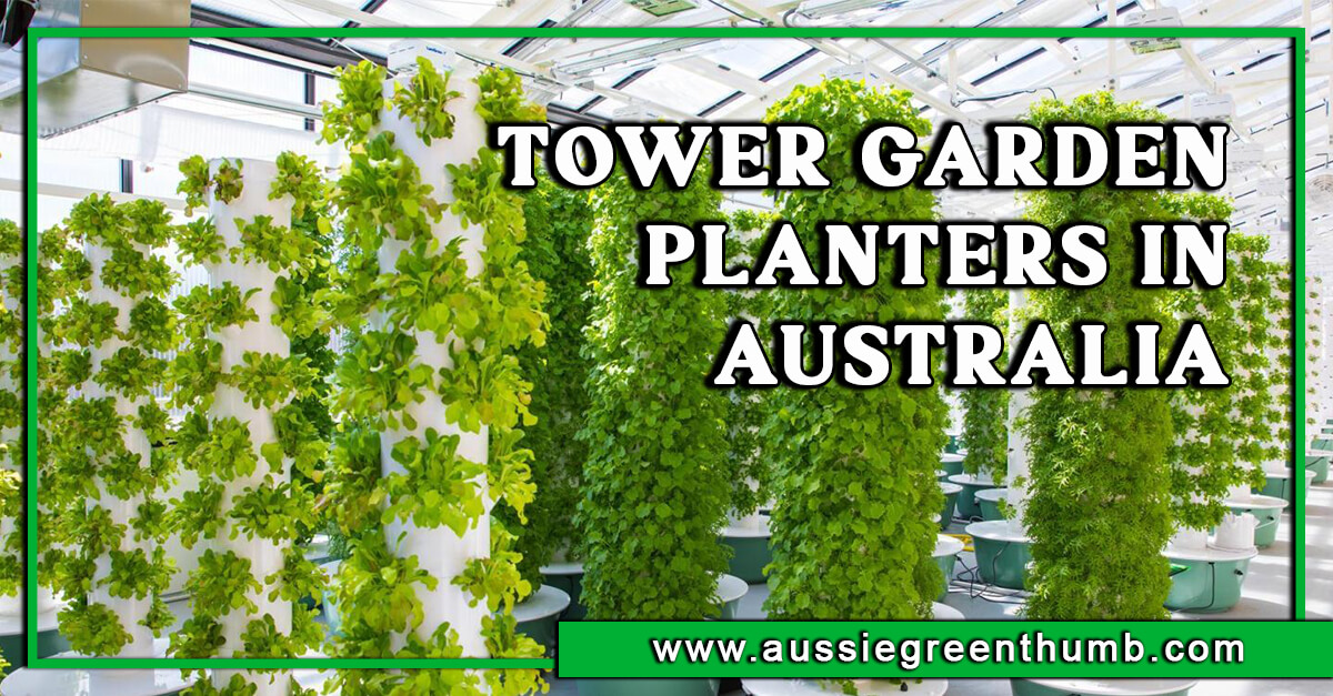 Best Tower Garden Planters in Australia for 2024