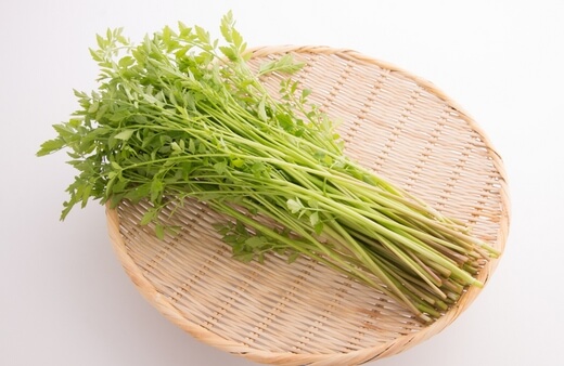 Japanese parsley isn’t actually a parsley, but it has a similar appearance, and close flavour to common parsley