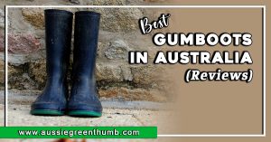 Best Gumboots in Australia