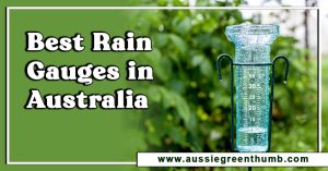 Best Rain Gauges in Australia