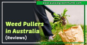 Best Weed Pullers in Australia (Review)
