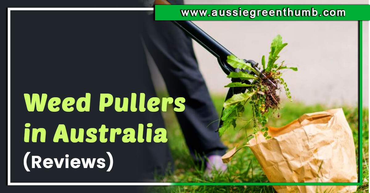 7 Best Weed Pullers In Australia 2024 Review AGT   9 Best Weed Pullers In Australia 2023 Review 