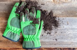 Best Gardening Gloves Australia