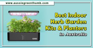 Best Indoor Herb Garden Kits and Planters in Australia