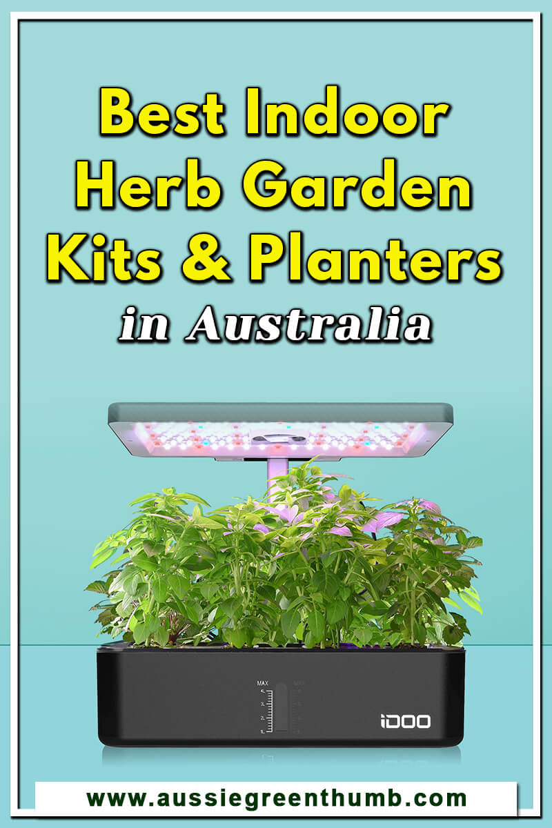 Best Indoor Herb Garden Kits and Planters in Australia