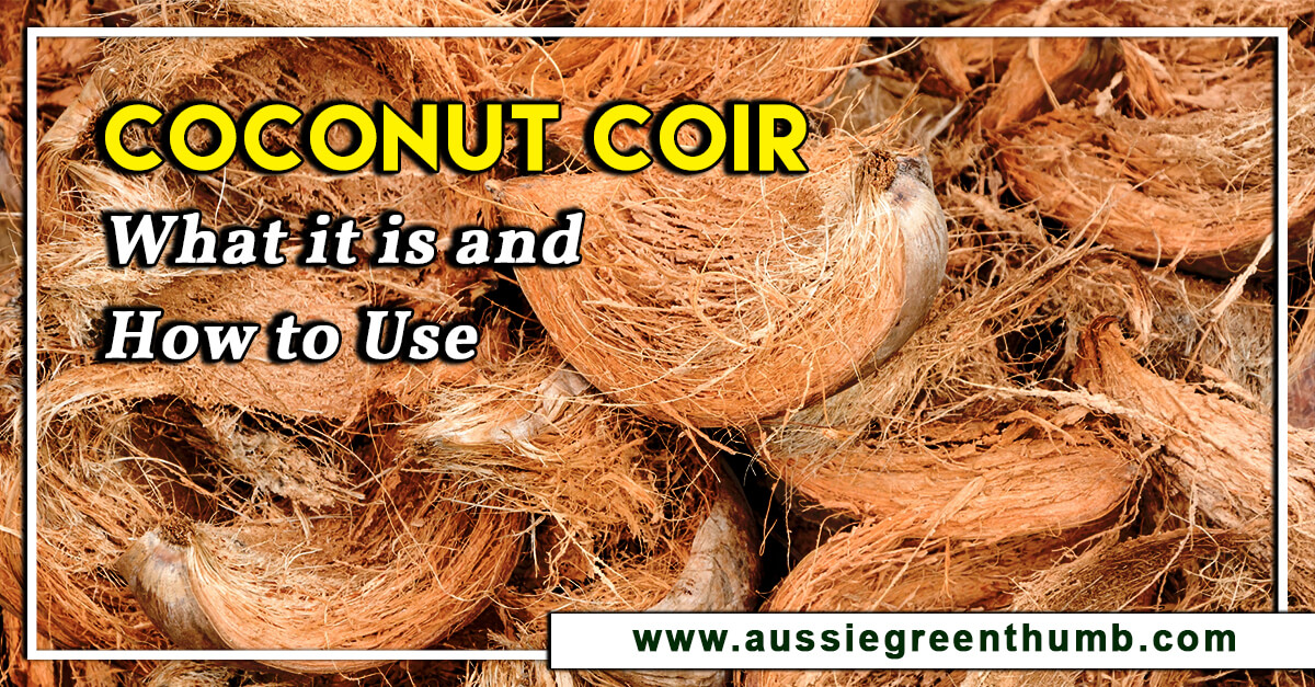 Coconut Coir – What it is and How to Use