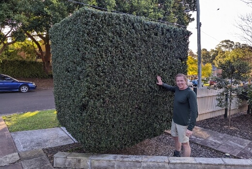 Nathan Schwartz of Aussie Green Thumb standing beside a well maintained hedge