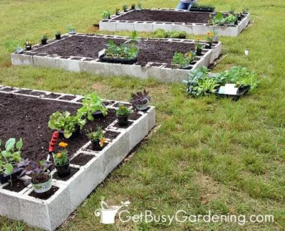 Cinder block raised garden beds are durable and customisable