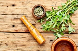 Edible Weeds in Australia