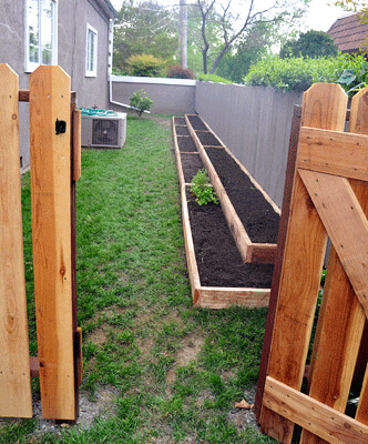 Install Garden Beds Along Your Fence