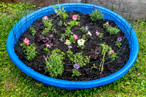 Kiddie Pool into a Garden Bed Planter