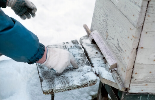Overwintering a Beehive