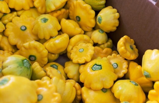 Pattypan squash is sweet and similar to a yellow squash but its texture is firmer
