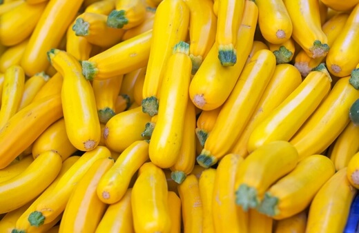 Straightneck squash has a mild and sweet taste with quite watery flesh