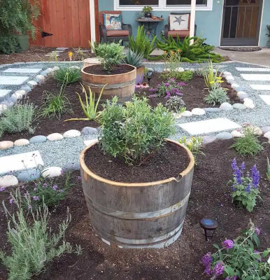 Whisky and Wine Barrel as Raised Flower Beds