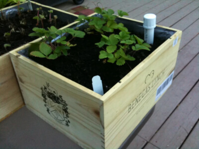 wine box raised flower bed is a creative and eco-friendly way to repurpose an old wine box