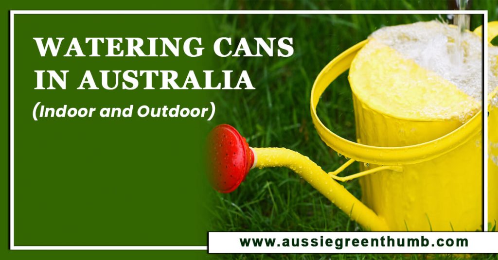 Best Watering Cans in Australia (Indoor and Outdoor)