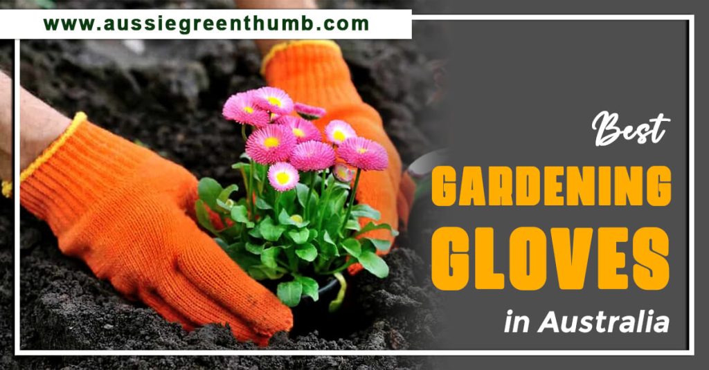 Best Gardening Gloves in Australia