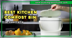 Best Kitchen Compost Bin in Australia
