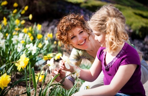 A mother and daughter planting daffodils