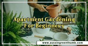 Apartment Gardening For Beginners