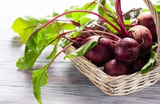 Beta Vulgaris, commonly known as Beetroots