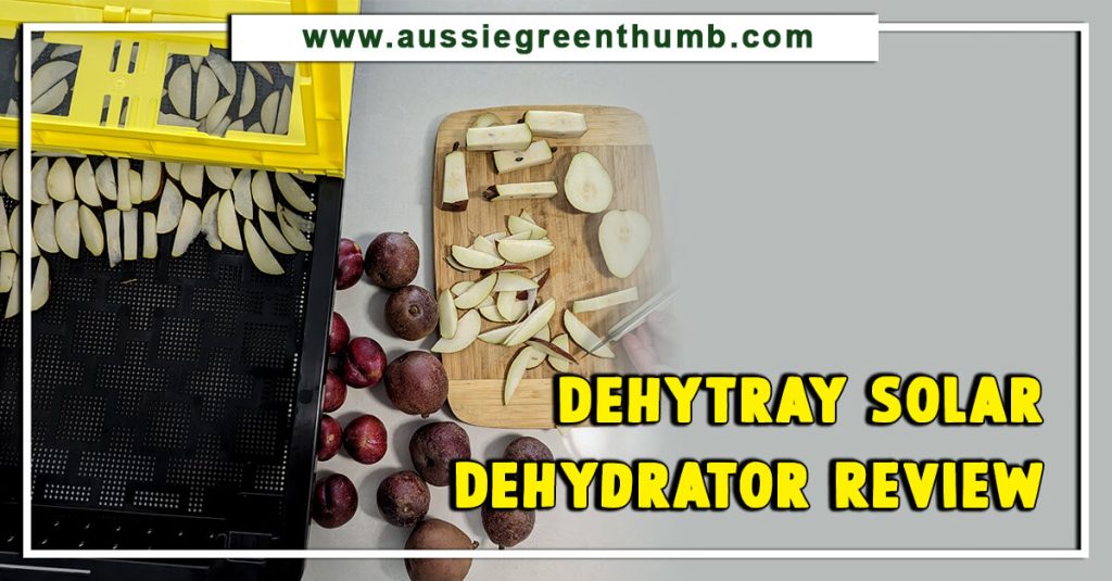 Dehytray Solar Dehydrator Review