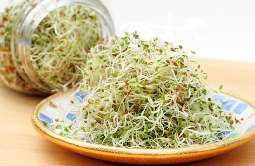 Growing Sprouts in a Jar