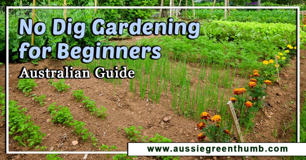 No Dig Gardening for Beginners: Australian Guide