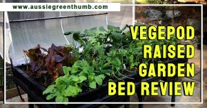 Vegepod Raised Garden Bed Review