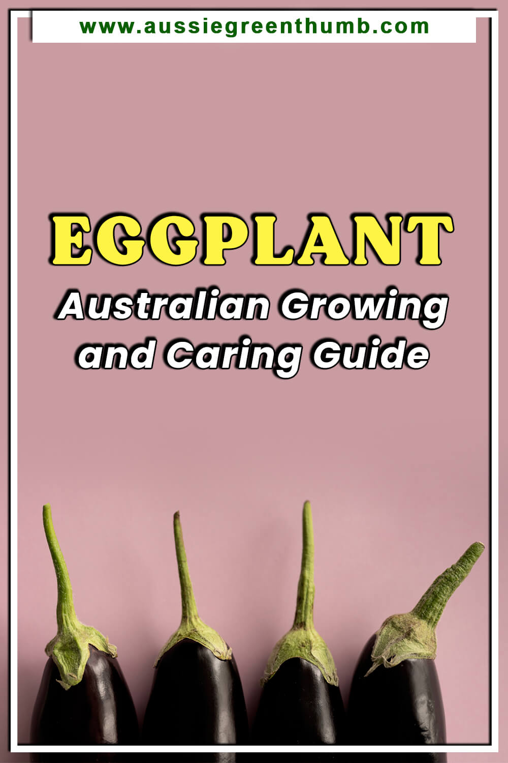 Eggplant – Australian Growing and Caring Guide