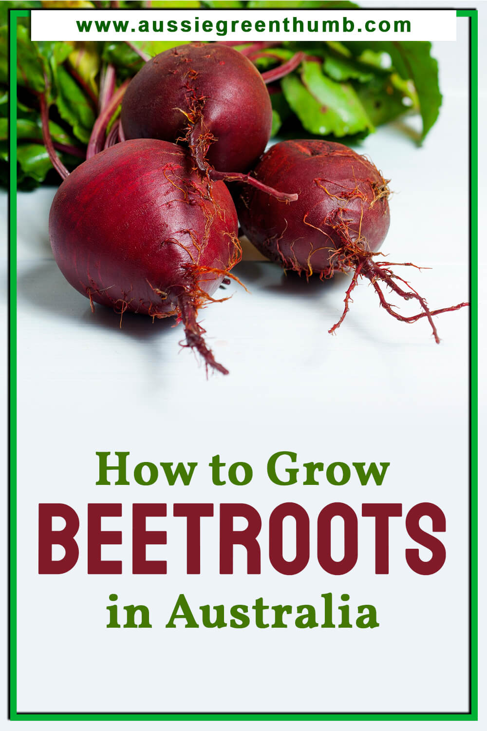 How to Grow Beetroots in Australia