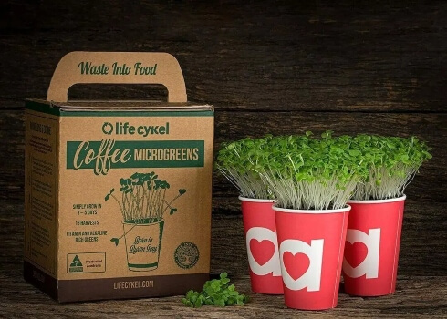 Lifecykel Microgreens Kit