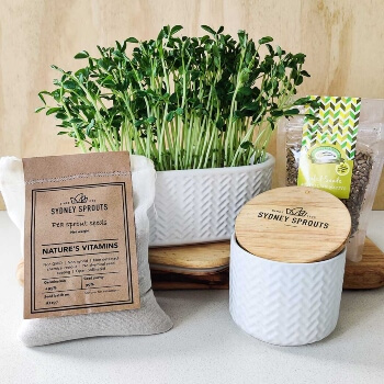 Sydney Sprouts Microgreen Planter Box