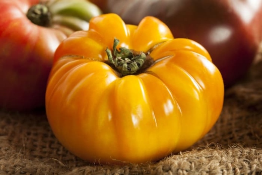 Yellow Brandywine Tomato is great for slicing and using in salads or on sandwiches