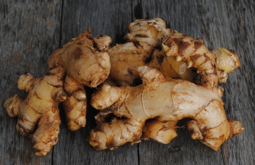 Zingiber officinale. commonly known as Ginger
