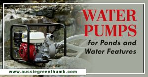 Best Water Pumps for Ponds and Water Features