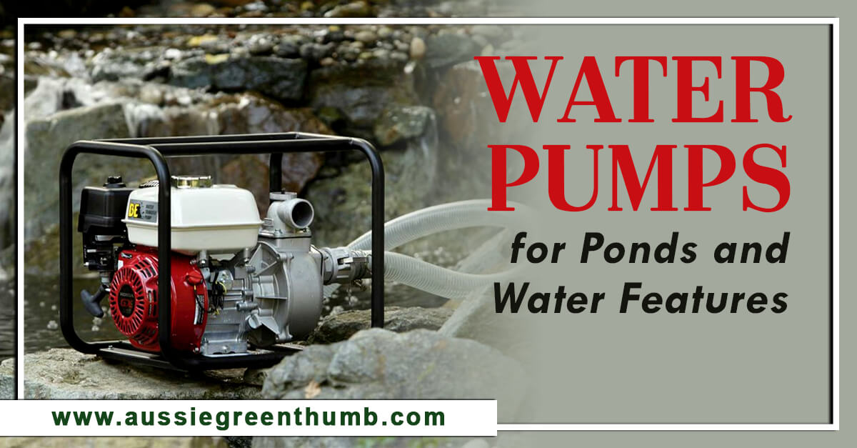 7 Best Water Pumps for Ponds and Water Features for 2024