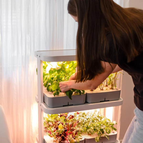A woman checking her indoor plant shelf with grow lights
