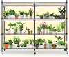 Bstrip 4-Tier Indoor Plant Shelf with Grow Lights