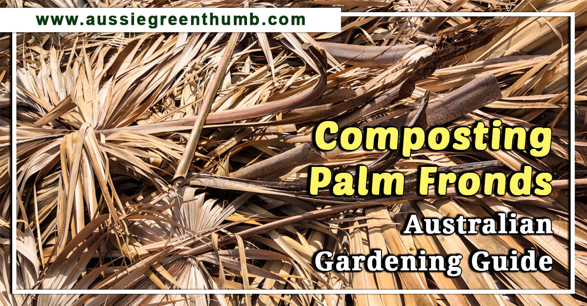 Composting Palm Fronds – Australian Gardening Guide