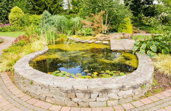 How to Build a Water Garden