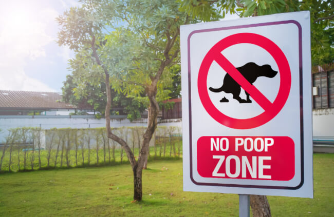 How to Stop Dogs Pooping On Your Lawn