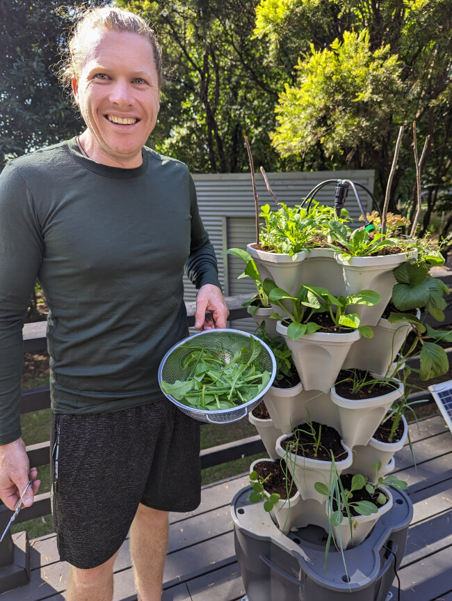 Nathan Schwartz of Aussie Green Thumb harvesting from his Mr Stacky Hydroponic Smart Farm