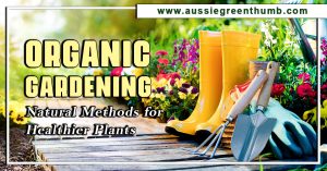 Organic Gardening: Natural Methods for Healthier Plants
