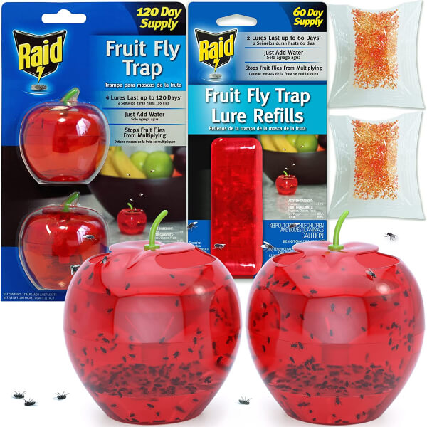 Raid Fly Traps