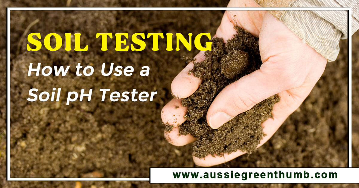 Soil Testing – How to Use a Soil pH Tester
