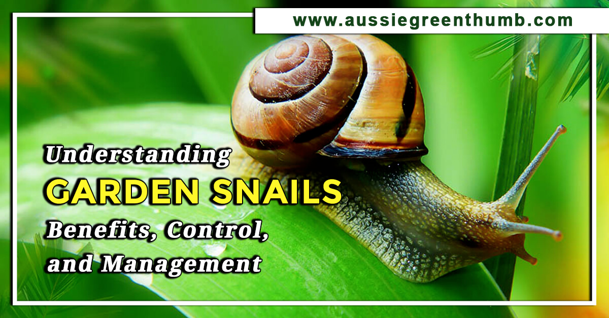 benefits of snails in the garden