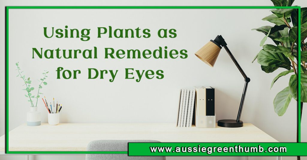 Using Plants as Natural Remedies for Dry Eyes